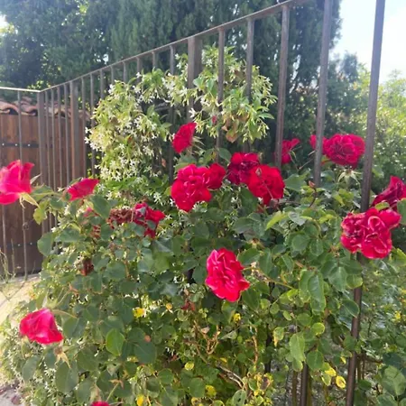 Holiday home En Coeur Air-conditioned House With Garden And Swimming Pool *